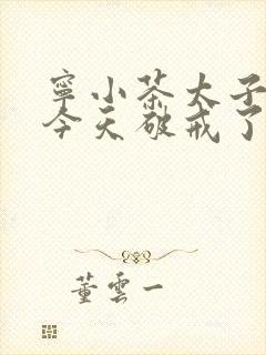 宁小茶太子殿下今天破戒了吗免费阅读