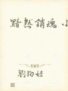 黯然销魂 小说