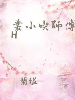 丛小吃师傅的HH