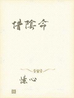 借阴命