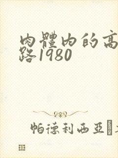 肉体内的高速公路1980