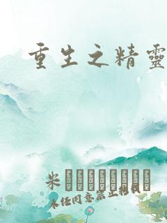 重生之精灵游侠