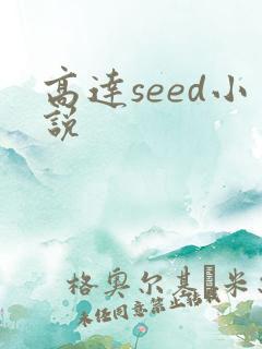 高达seed小说