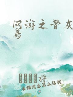 网游之骨灰级菜鸟