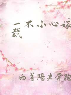 一不小心嫁给总裁