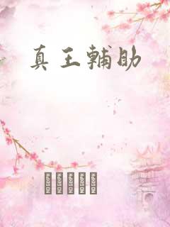真王辅助
