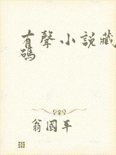 有声小说藏地密码