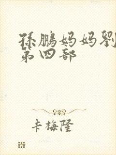 孙鹏妈妈刘淑英第四部