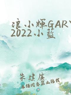 浪小辉GARY2022小蓝