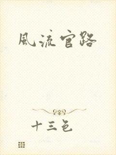 风流官路