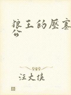 狼王的压寨小相公