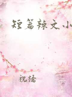 短篇辣文小说