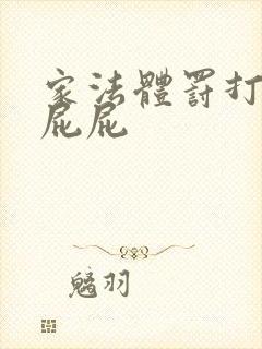 家法体罚打丫鬟屁屁