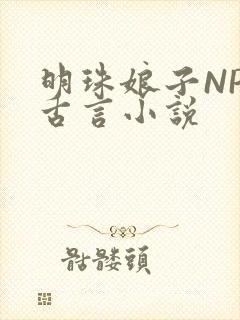 明珠娘子NPC古言小说