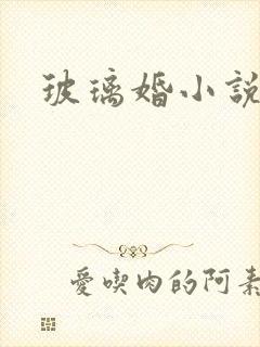 玻璃婚小说