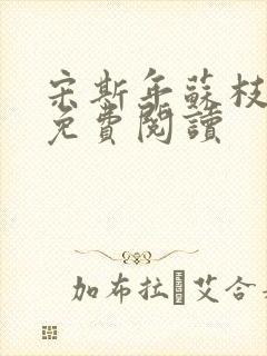 宋斯年苏枝小说免费阅读