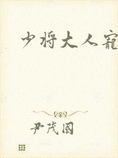 少将大人宠宠我