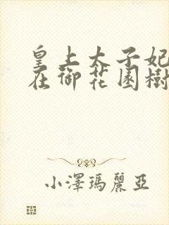 皇上太子妃沈音在御花园树上