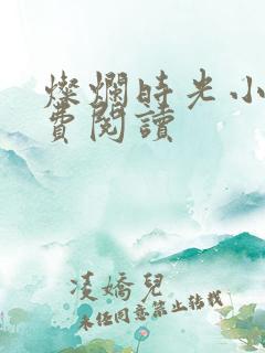 灿烂时光小说免费阅读