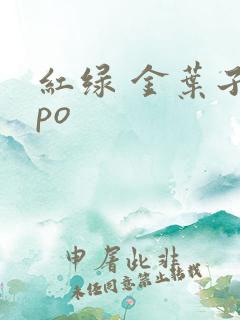 红绿 金叶子 po