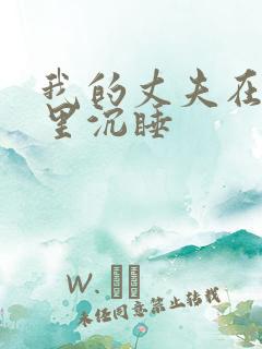 我的丈夫在冰箱里沉睡