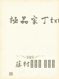 极品家丁txt