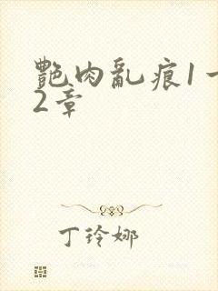 艳肉乱痕1一12章