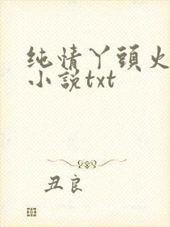 纯情丫头火辣辣小说txt