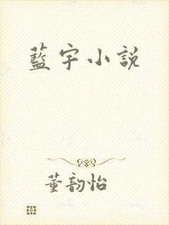 蓝宇小说