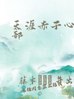 天涯赤子心第二部