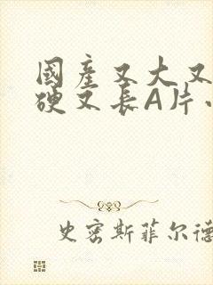 国产又大又粗又硬又长A片小说