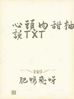 心头肉甜柚子小说TXT