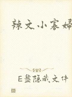 辣文小寡妇