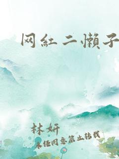 网红二懒子车祸