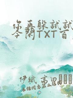 你再躲试试BY今闲TXT百度网盘