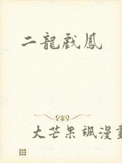 二龙戏凤