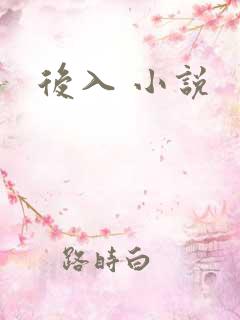 后入 小说