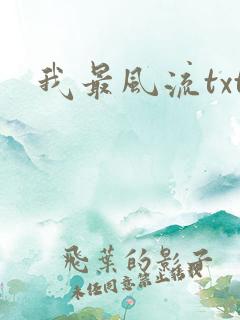我最风流txt