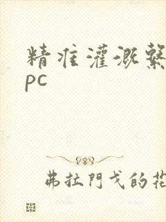 精准灌溉系统npc