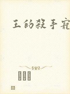 王的杀手宠妃
