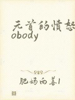 元首的愤怒之nobody