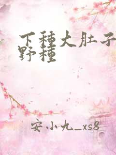 下种大肚子怀孕野种