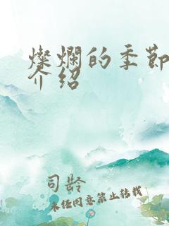 灿烂的季节剧情介绍