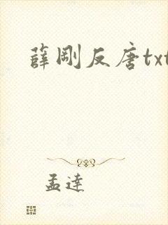 薛刚反唐txt