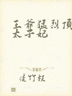 王爷猛烈顶弄H太子妃