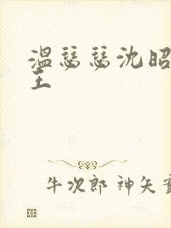 温瑟瑟沈昭摄政王