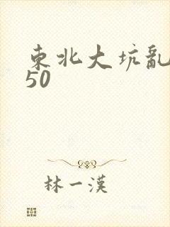 东北大坑乱1—50
