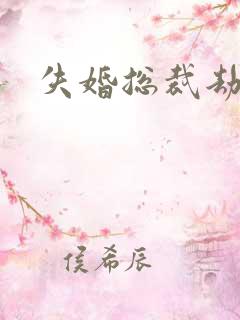 失婚总裁劫前妻