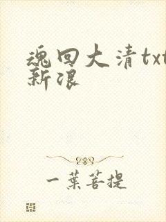 魂回大清txt新浪