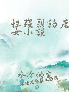 性强烈的老年妇女小说